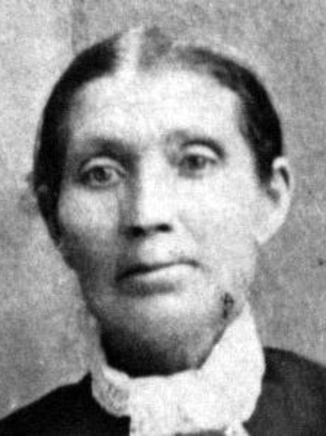 Ann Elizabeth Davies (1823 - 1905) Profile